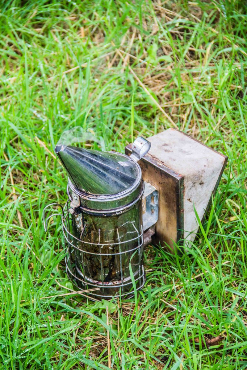 Buckfast Abbey Bees | New Project | Sarah Jane Hodge