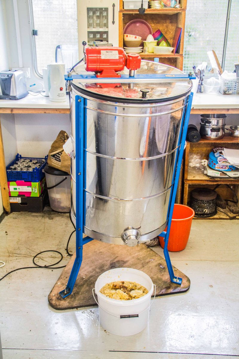 Buckfast Abbey Bees | New Project | Sarah Jane Hodge