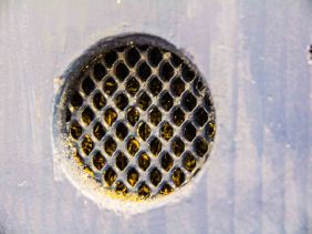 Buckfast Abbey Bees | New Project | Sarah Jane Hodge