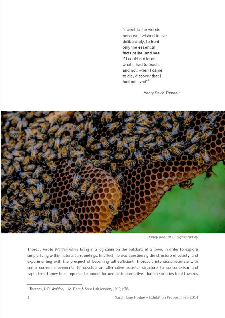 Fine Art Proposal For Honey Bee Project