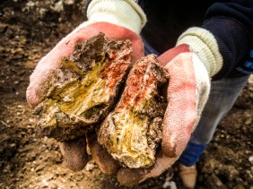 Beautiful cob sample from within the LandWorks plot - most materials for the sculpture are sourced on site or within the Dartington Hall Estate