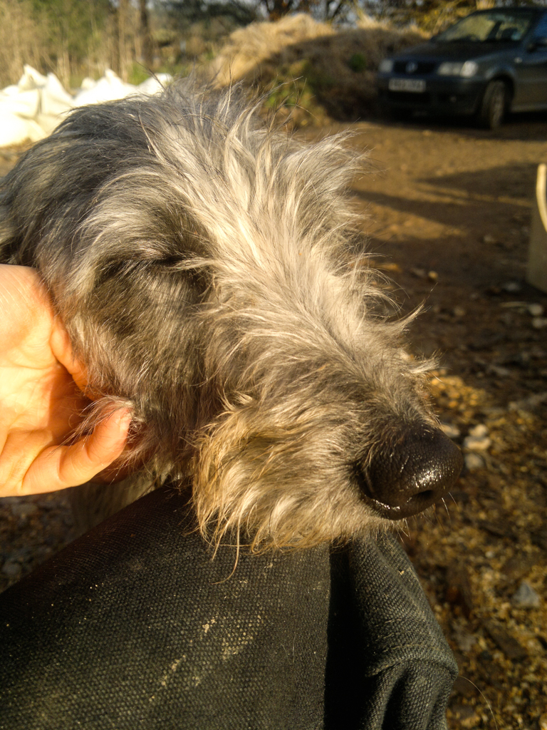 Timber frame land art sculpture